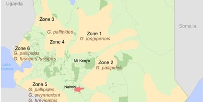 Kenya institut survei dan pemetaan struktur biaya