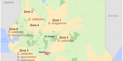 Kenya institut survei dan pemetaan kursus